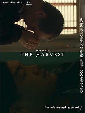 The Harvest (2023) Full Movie